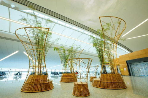 中央美术学院担纲设计成都天府国际机场文化艺术规划